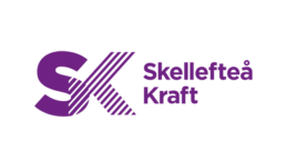 Partners Alvar Skelleftea Kraft